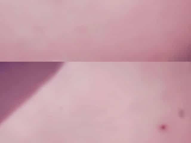 Amateur Doggystyle Hidden Cam