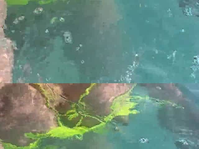 Artemisia Love flashing her soaked large titties underwater for u wearing a hawt bikini