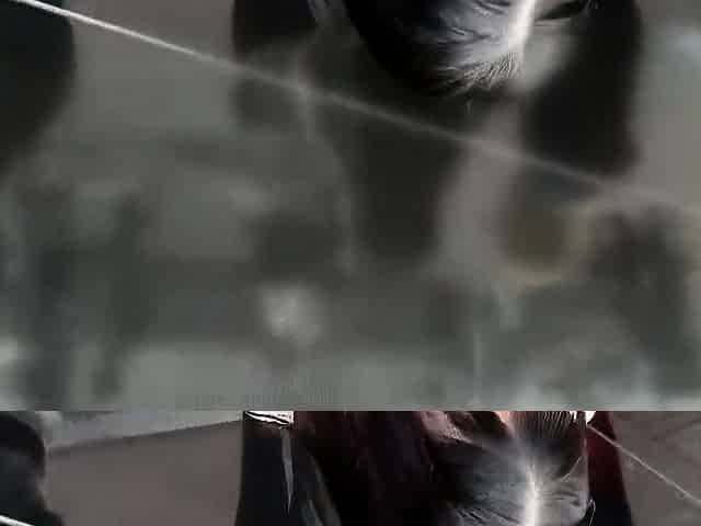 Amateur Asian Japanese Anal Creampie