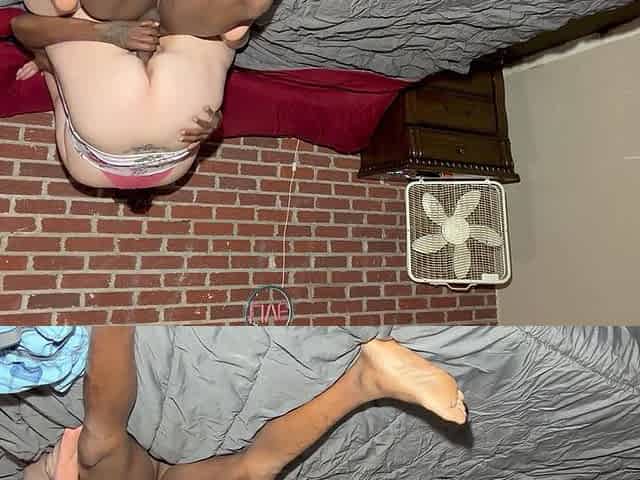 PAWG Bounce Back on That Dick up and Down