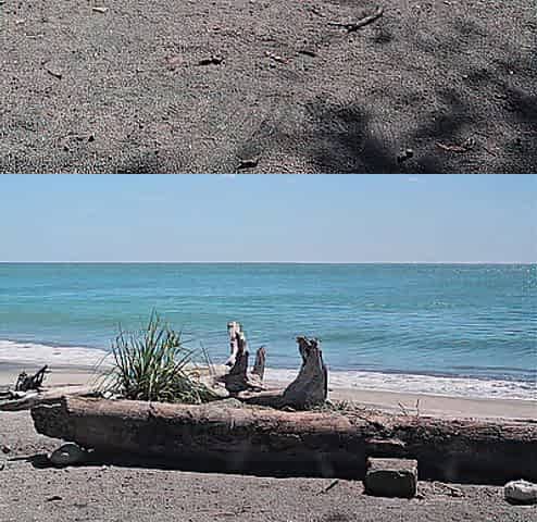 Polla dura de 6 pulgadas en playa/ 6 hard Penis at beach