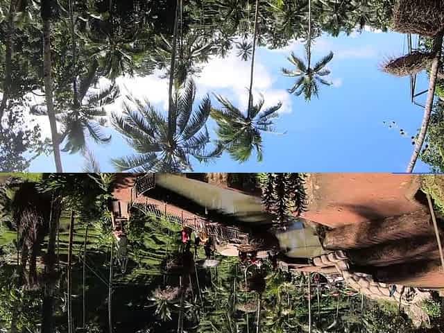 Big booty Thai girlfriend garden sex