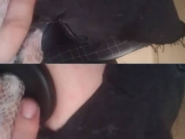 Sex toy butt prolapse