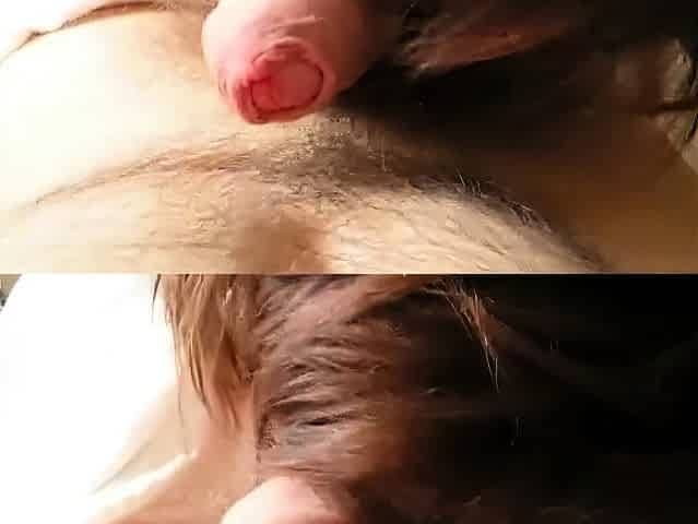 Amateur Blowjob with Cum in Mouth
