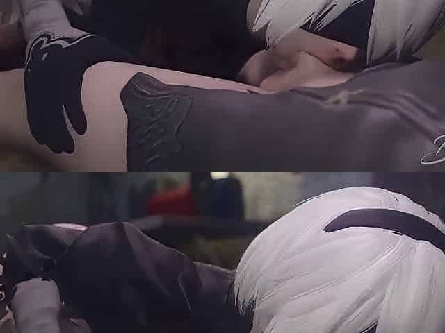 Nier Automata Compilation