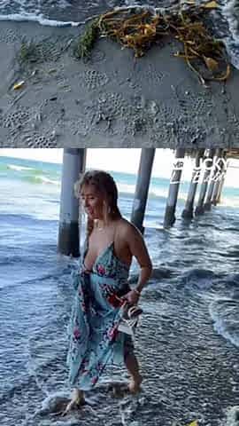 Santa Monica Beach - Lena Paul
