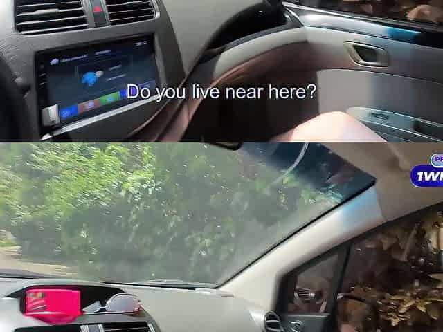 Marvelous blond hotty with a large butt has sex in a stranger's car.
