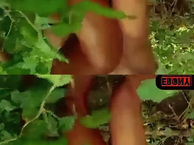 Part2 of hook up screwed in the bush