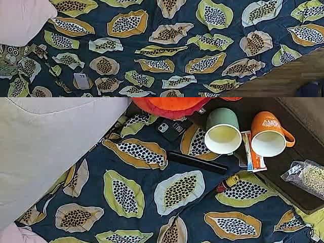 Amateur sex hidden cam