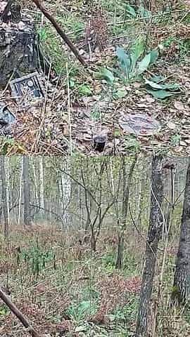 A Forest Witch Performs Rituals, Seduces a Guy and Fucks Him