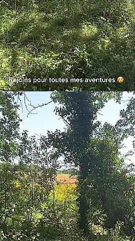 YOUTHFUL FRENCH ANGEL, I GET BANGED IN THE FOREST