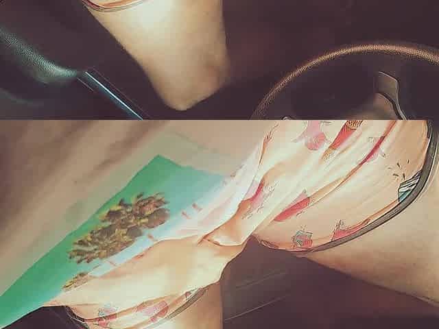 Beach Day Car Sex Dream with Great Groaning and Ribald Talk