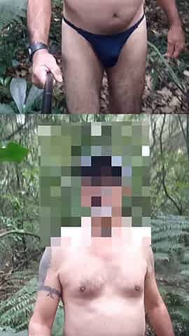 Out and about in the bush Free Willy