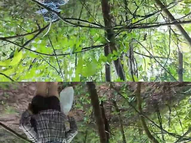A Thai cutie was walking around the forest bragging about picking mu and suddenly had to pee. Thai audio 4K