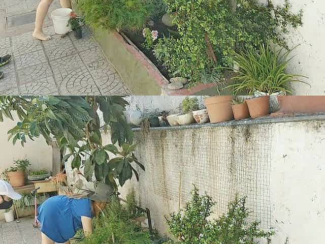 Sex with the voyeur gardener with a hotty in a short suit out of pants