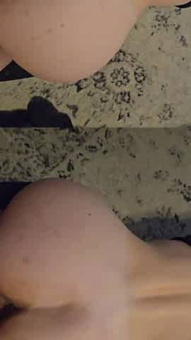 Close up doggy