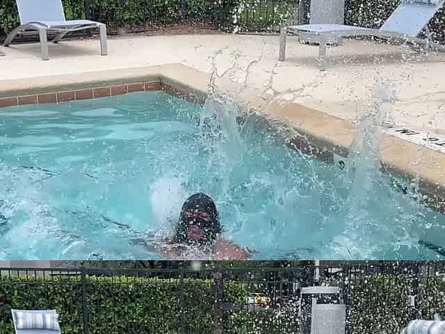 Black megatits in pool