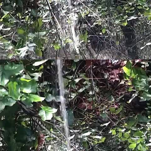 Pissing Joy on a Hike
