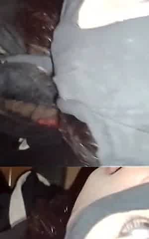 Great Amateur Argentinian Blowjob