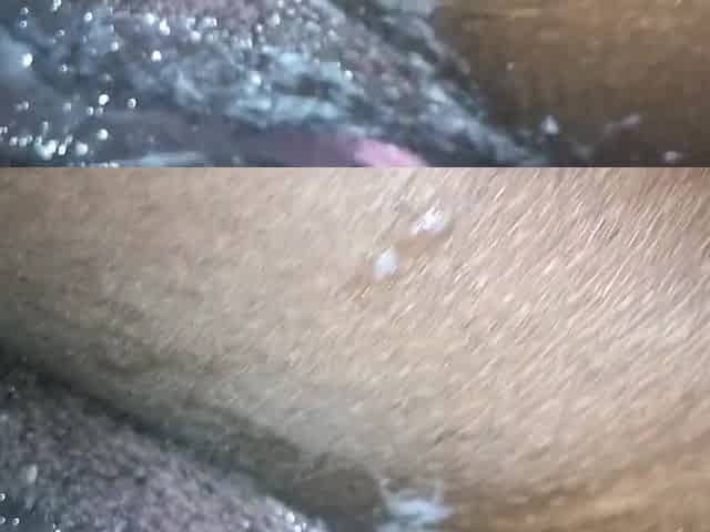 Quickie With Bay Part two