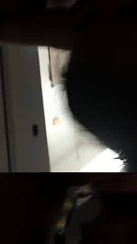 Big Cock Enjoys Blowjob And Hardcore Ride