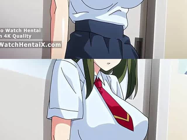 Manga comics, animation porn
