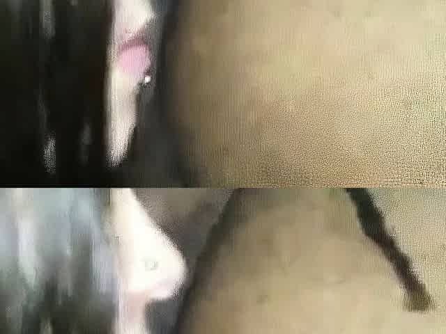 Daily Adult Duties with Interracial Ass-Licking
