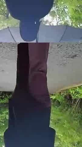 Asian Angel 26644