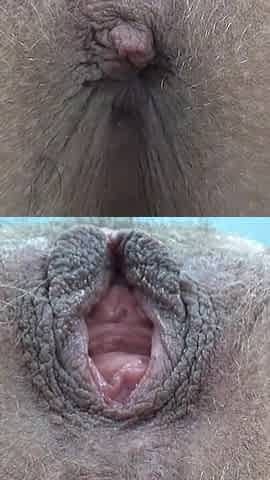 Extreme Close-up of Wet Hairy Vagina with Dildo