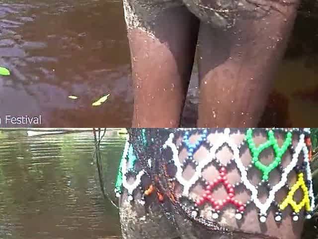 I encountered a slender black working tribe angel in Africa and ended up in her cunt