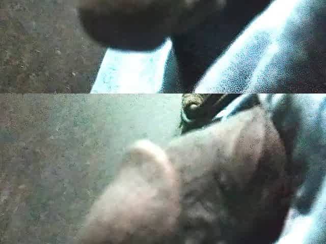 Oriental Bbc Pissing ????