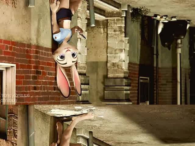 judy reverse cowgirl