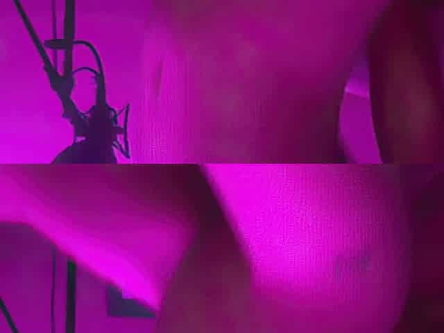 Banged My Boss in The Studio