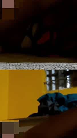 Newlyed Couple First Time Making Sex Before Marrige