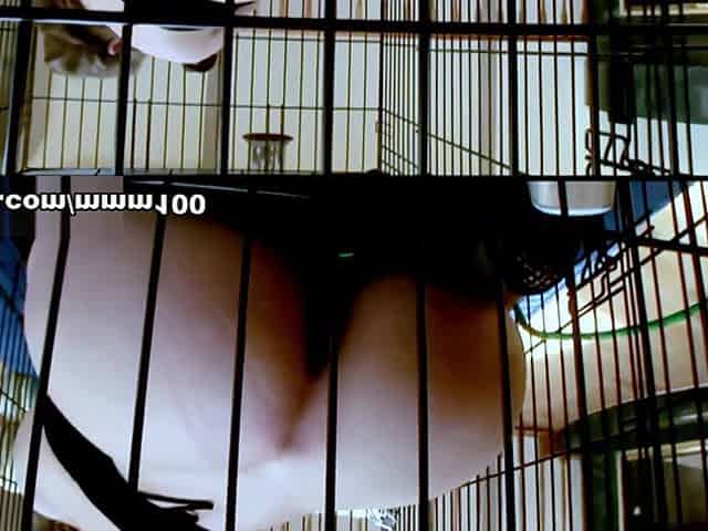 Kiara Marie Chubby Blonde Big Tits Fucked by Big Black Cock Mr Marcus in Cage Cumshot - MMM100