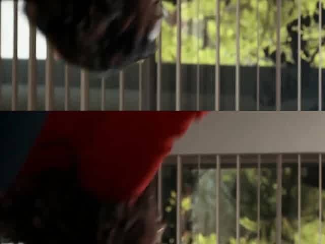 Sweetheart Video - Asain lesbian fucks stepsister