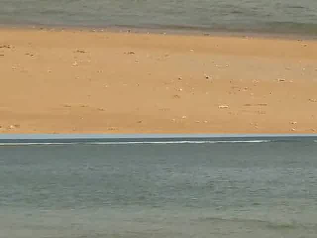 Skinny gal walks along the beach and swims in the sea. meet me