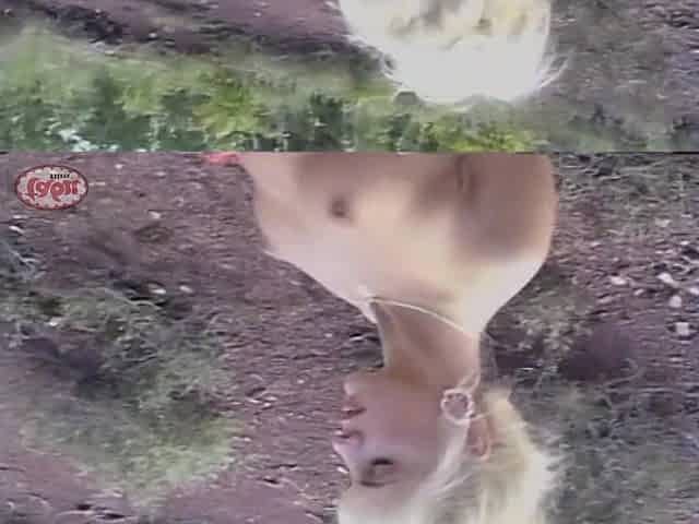 Tabu Film Classic: Joyride