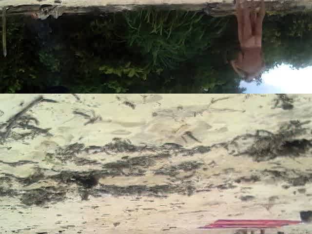 Beach Love Motion: Outdoor Amateur Fun