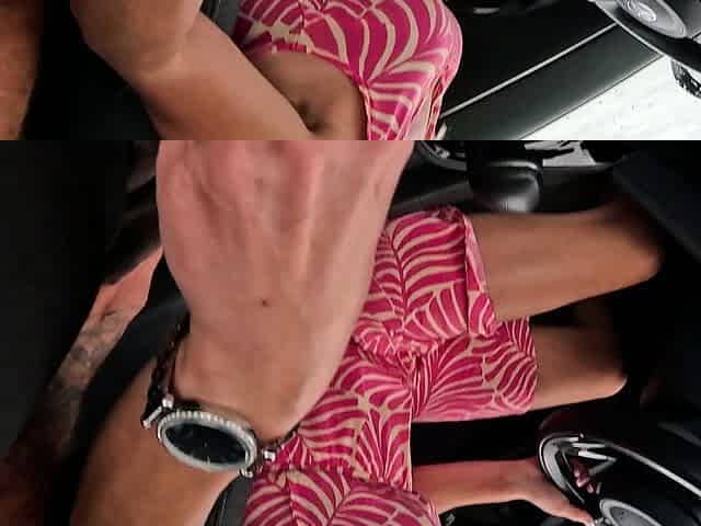German blonde milf Wild Bunny makes blind date in the car
