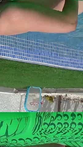 Two Lesbians Have Fun in Outdoor Pool with Happy Ending for Both!