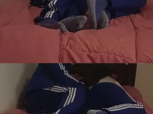 I Don't Want to Go to College Today!! I Want You to Put Them in the Back!! Hot Mexican Schoolgirl Tasting Cum!