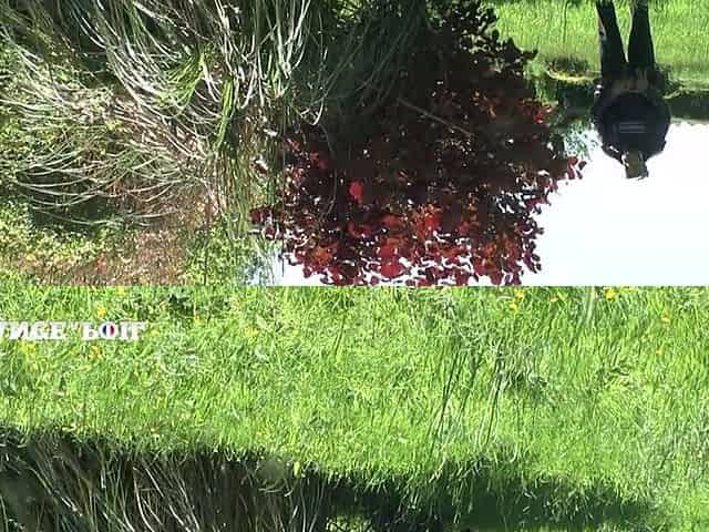 Pretty Young Redhead Slut Suntbathing Licked and Fucked by Pervert