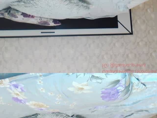 Daiana Prema Romanian Camwhore blow drying her dildo