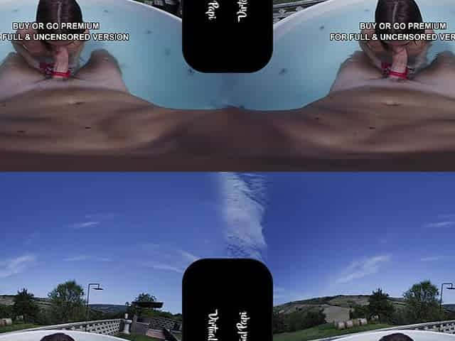 Blowjob Collection Vol 3