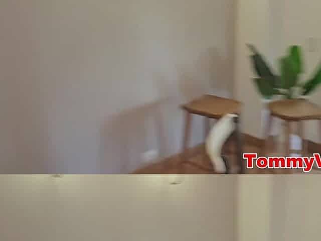 A alluring large-assed slut takes 2 massive dongs in a worthy 3some - EmilyFox