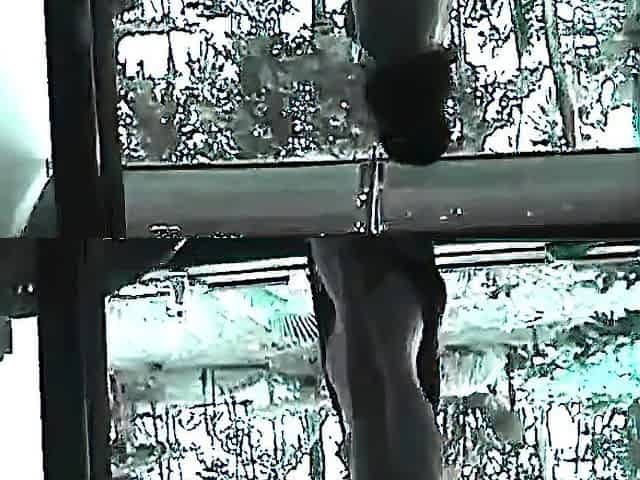 First Date Amateur Blowjob and Facial
