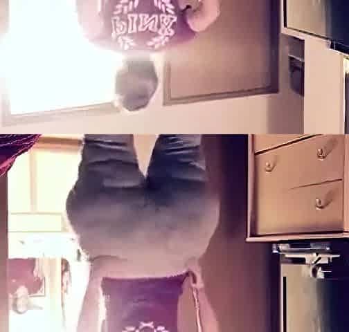Love Randalin: Big Natural BBW Webcam Show