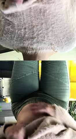 Amateur ass masturbation compilation