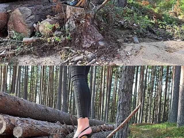 Black Classic Stiletto High Heels with No Back, 12 Cm Heels in the Forest, Deep in the Sand